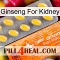 Ginseng For Kidney new05